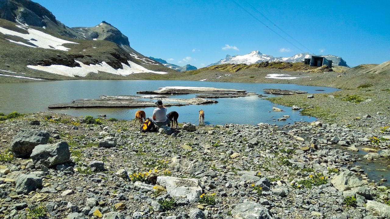 Bild See