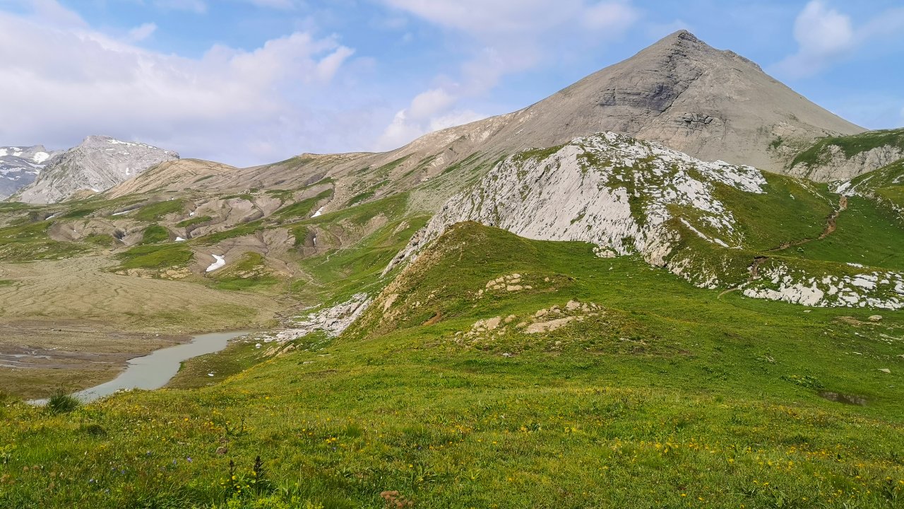 Bild Berg grün